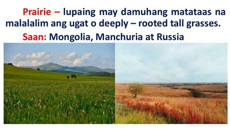 kahulugan ng prairie